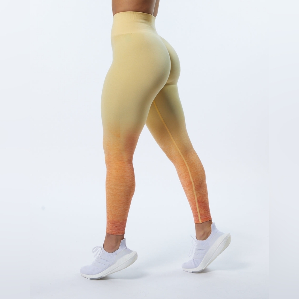 Alphalete Amplify Ombre Leggings